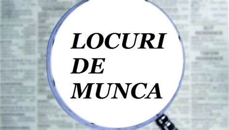 munca suceava|Locuri de munca Suceava